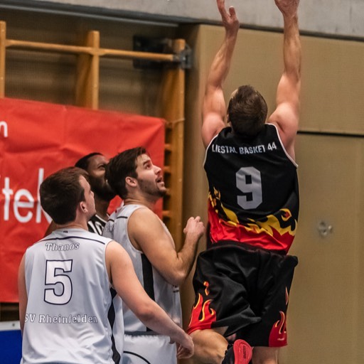 Basketball TSV Rheinfelden Rhyfüx