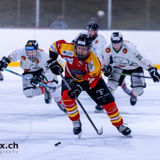 EHC Rheinfelden vs Altstadt Olten Playouts 4/5