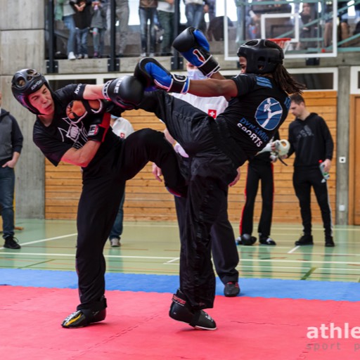 WAKO 44. Reinacher Cup 2022